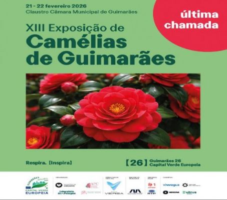 XIII Exposi&ccedil;&atilde;o Cam&eacute;lias de Guimar&atilde;es  - Divulga&ccedil;&atilde;o de Evento